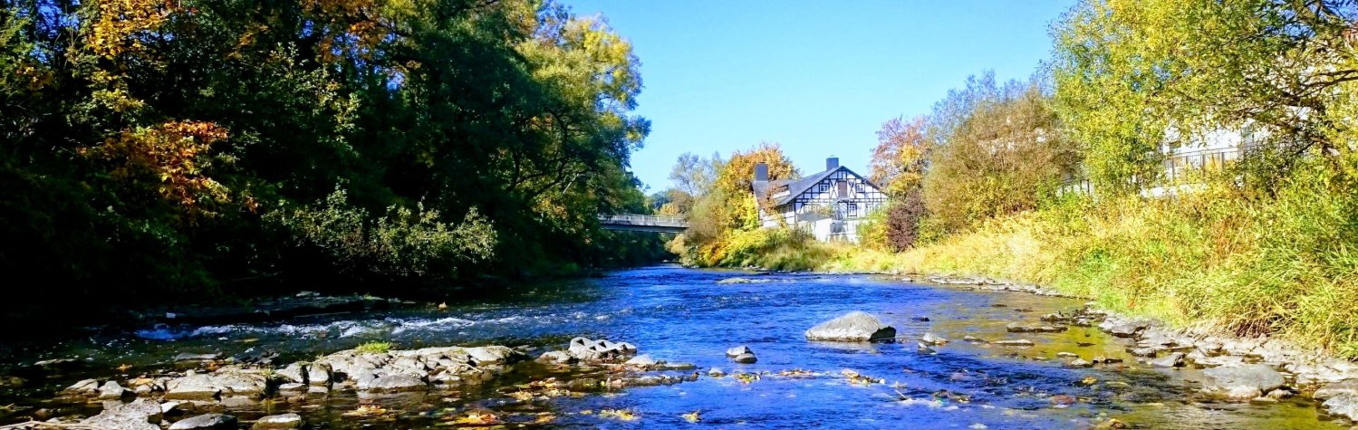 Die herbstliche Sieg in Betzdorf