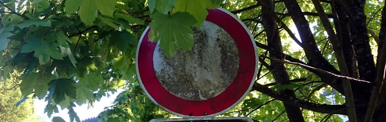 Bewuchs im öffentlichen Verkehrsraum Bewuchs im öffentlichen Verkehrsraum