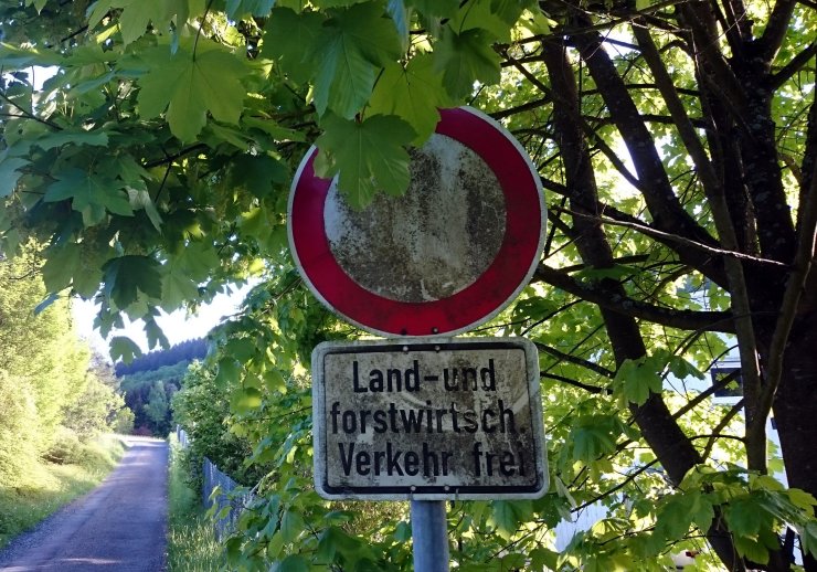 Bewuchs im öffentlichen Verkehrsraum