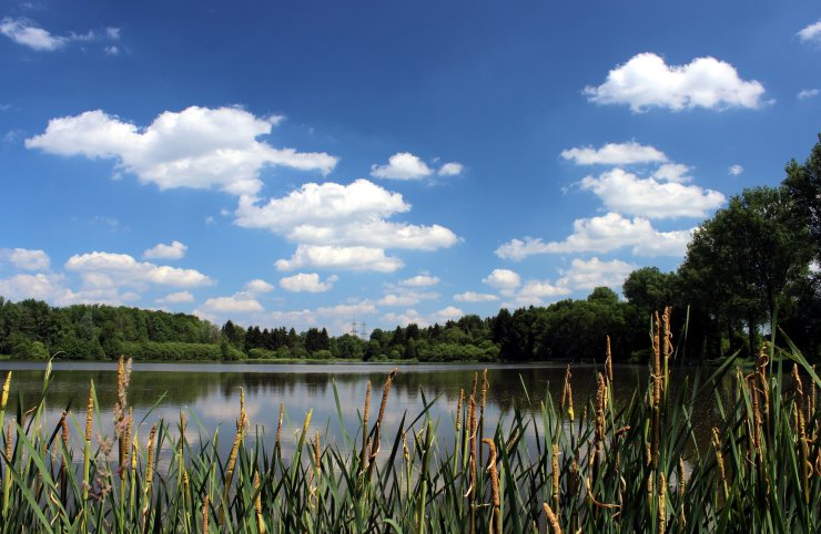 Elkenrother Weiher Elkenrother Weiher