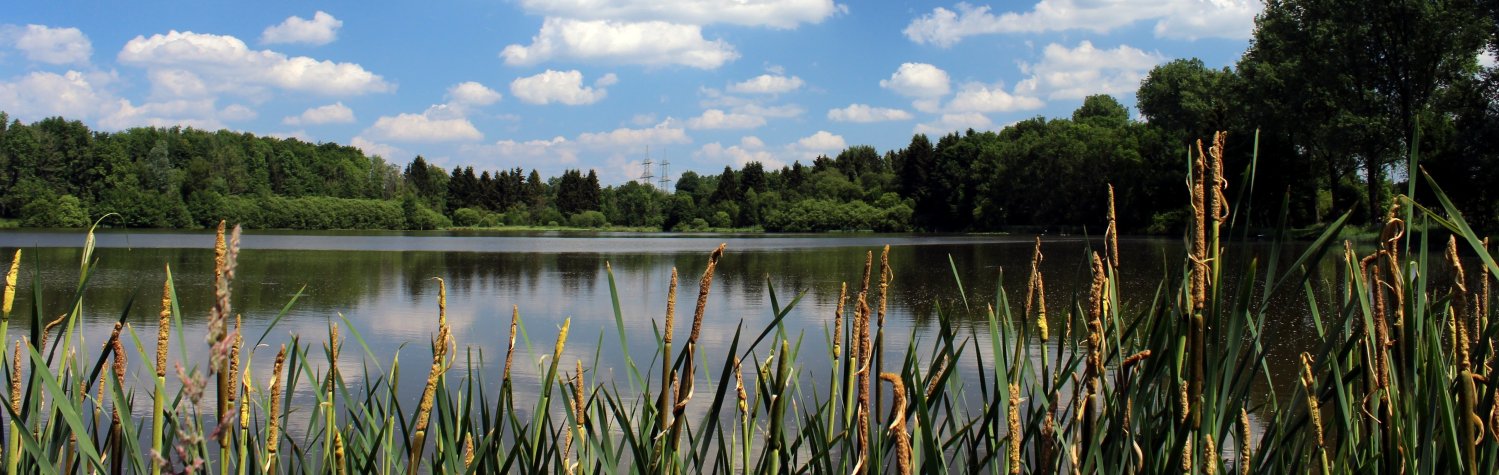 Elkenrother Weiher