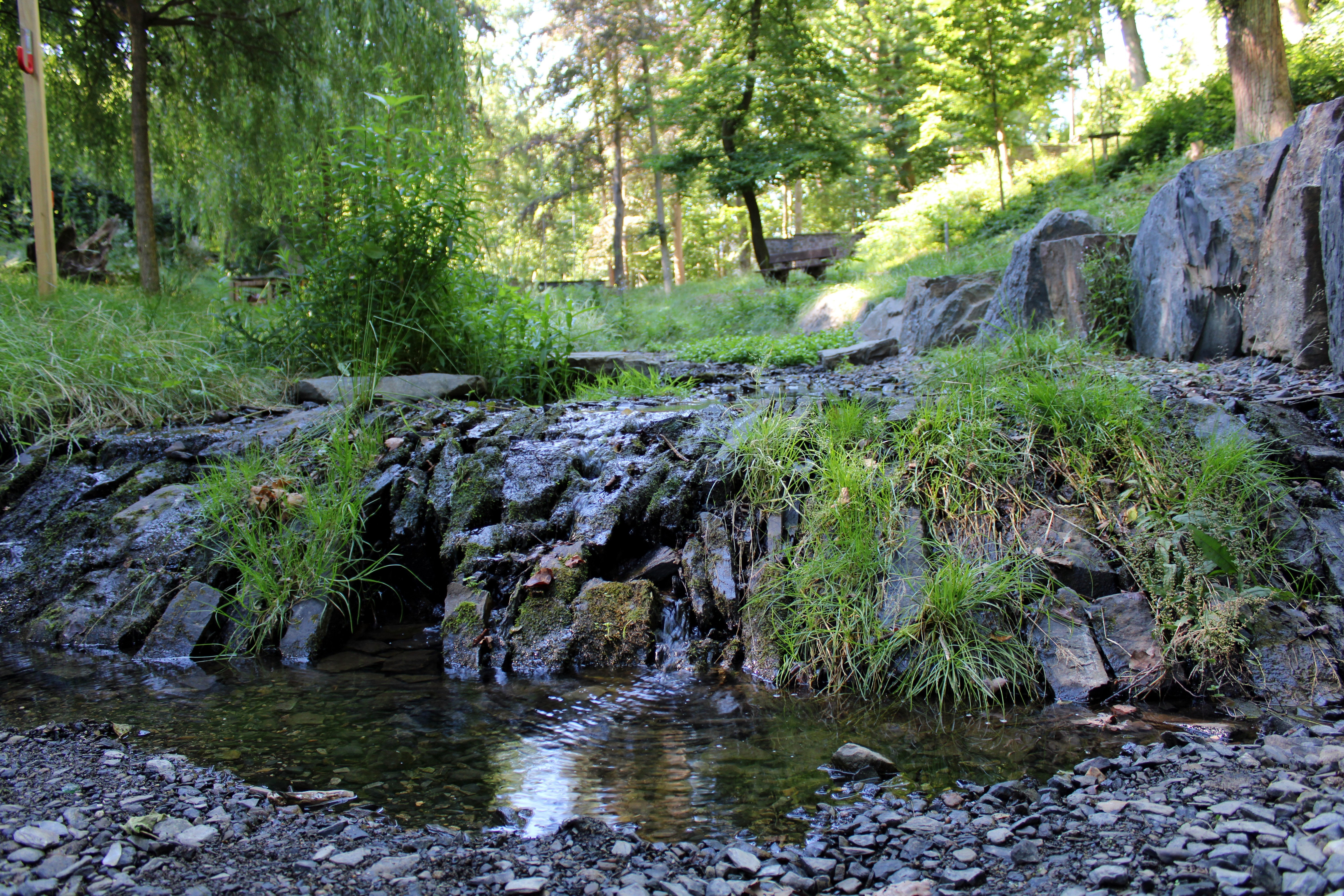 Rainchen in Betzdorf