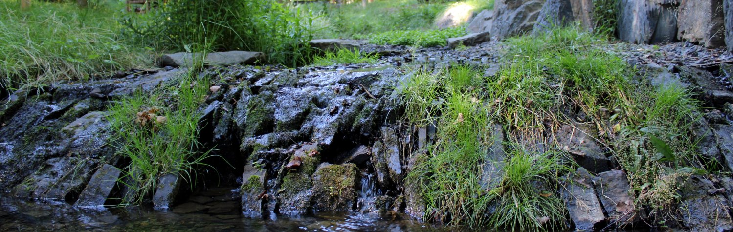 Rainchen in Betzdorf
