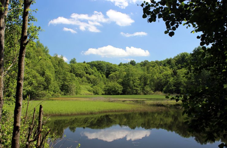 Rosenheimer Lay Rosenheimer Lay