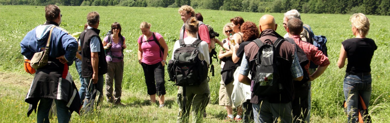 Wandergruppe bei Malberg Wandergruppe bei Malberg
