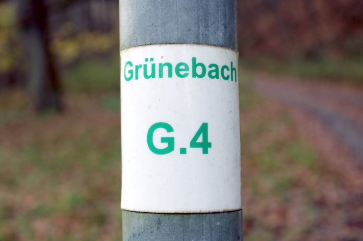 Wanderwegenetz in Grünebach Wanderwegenetz in Grünebach