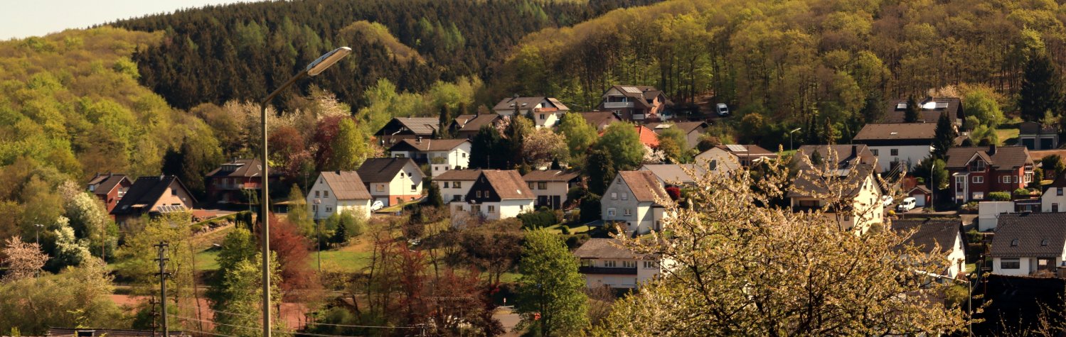Blick auf Steinebach